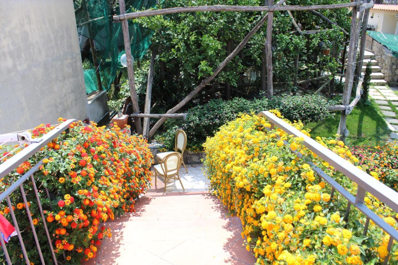 Casa Vacanze Chery Sorrento Eksteriør bilde